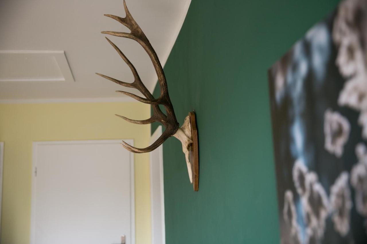 Mcdreyer Ferienwohnung Dedelstorf Luaran gambar